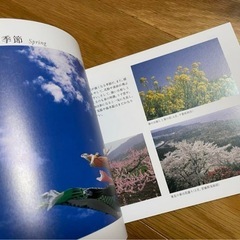 【新品】『雲の名前 空のふしぎ』（PHP研究所）の画像