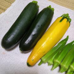 夏野菜の画像