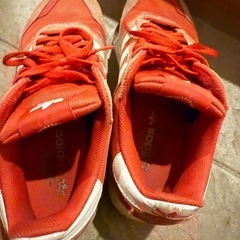 adidas  スニーカーの画像