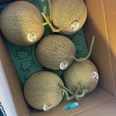 秀品らいでんメロン☆赤青食べ比べSetもお作り出来ます☆お盆帰省の手土産にも最適☆1玉バラ売価格の画像