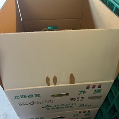 秀品らいでんメロン☆赤青食べ比べSetもお作り出来ます☆お盆帰省の手土産にも最適☆1玉バラ売価格の画像