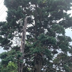 一軒家の画像