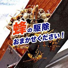 蜂駆除専門の【害虫駆除ダッシュ３６５ 岡山営業所】
