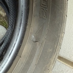 185/60R15 EC202 23年製 の画像