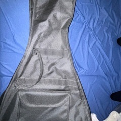 Schecter OL-FV Vシェイプ の画像