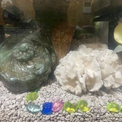 飾り物各種の画像