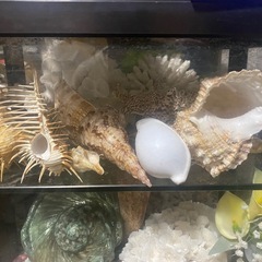 飾り物各種の画像