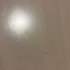 ダイニングテーブル、チェア2脚セット
の画像