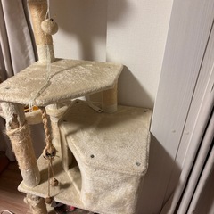 キャットタワーの画像