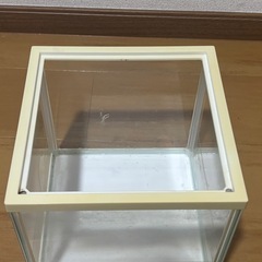 水槽　20cm立方の画像