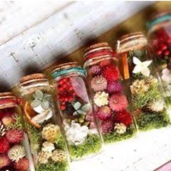 ボトルフラワーなどに、自由研究にも　お花いろいろの画像