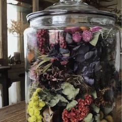 ボトルフラワーなどに、自由研究にも　お花いろいろの画像