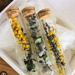 ボトルフラワーなどに、自由研究にも　お花いろいろの画像