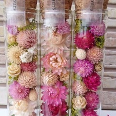 ボトルフラワーなどに、自由研究にも　お花いろいろの画像