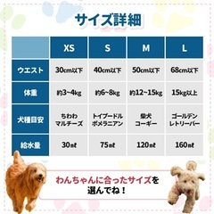 ペット　マナーパンツ　XSサイズの画像