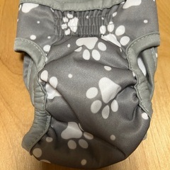 ペット　マナーパンツ　XSサイズの画像