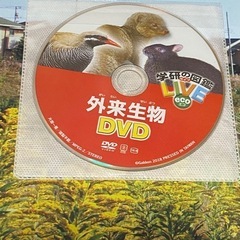学研の図鑑　LIVE 外来生物　DVDつきの画像