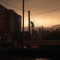 からからのドライフルーツを見る目