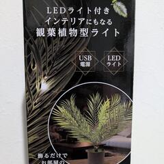 パームツリーフェイクグリーンライトの画像