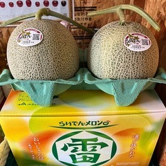 秀品✨らいでんメロン2Lサイズの画像
