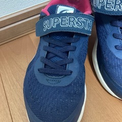 ムーンスターの画像