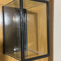 水槽　汚れありの画像