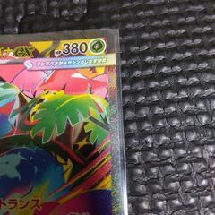 フシギバナex sarの画像
