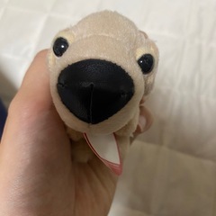 犬のマスコットの画像