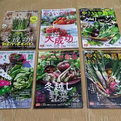 NHK　やさいの時間テキスト　6冊 (B)の画像