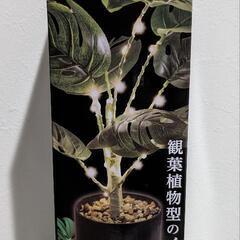 モンステラ　フェイクグリーンライト