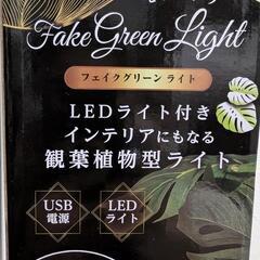 モンステラ　フェイクグリーンライトの画像