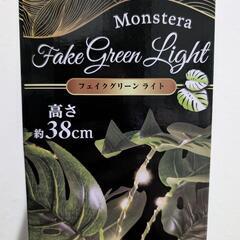 モンステラ　フェイクグリーンライトの画像