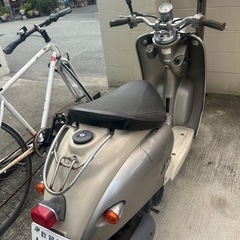 ビーノの画像
