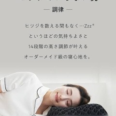 ヒツジのいらない枕　調律の画像