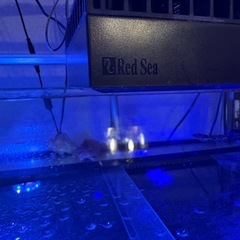 Red Sea ReefLED 90 サンゴ用LED照明 の画像