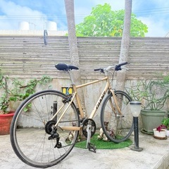 GIANT クロスバイクの画像