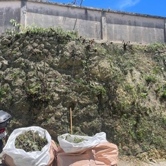 求人大募集　簡単軽作業！草刈りなどの画像