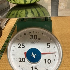 決まりました【15】スイカ　7.1キロ　2Lサイズ　　　　羅王ザ・スイートの画像