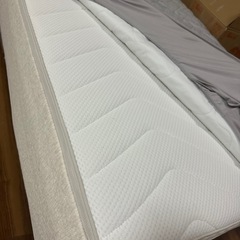 コアラマットレス　シングルの画像
