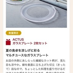 ACTUS ガラスプレート2枚セットの画像