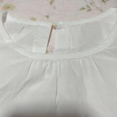 レプシィム　袖レースブラウスの画像