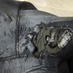 タウン＆カントリー シーガル XLサイズの画像
