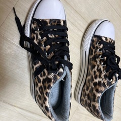 靴　チーターの画像