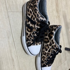 靴　チーターの画像