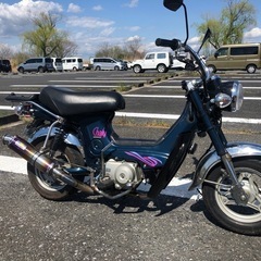 ホンダ　シャリーCＦ50  の画像