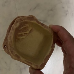 爬虫類用品の画像