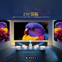 プロジェクターの画像