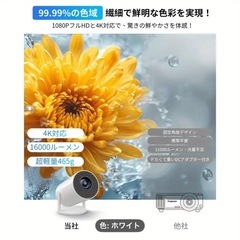 プロジェクターの画像
