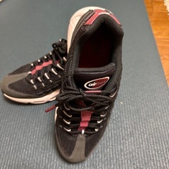 NIKE AIR MAX 95 の画像