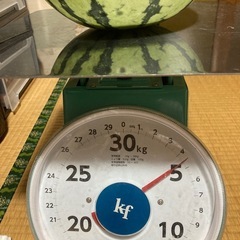 決まりました【17】スイカ　4.5キロ　羅王ザ・スイートの画像